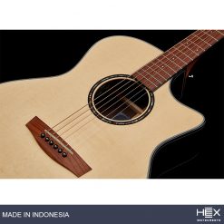 Hex Hornet GA450CE G Cutaway Acoustic-Electric Guitar with Standard Gig Bag-04