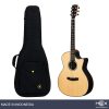 Hex Sting GA350CE M Cutaway Acoustic-Electric Guitar with Standard Gig Bag-01
