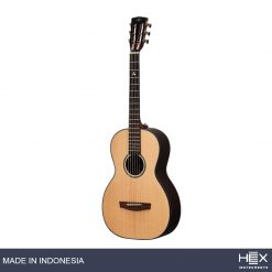 Hex Sting P350G Parlor Acoustic Guitar with Standard Gig Bag-02