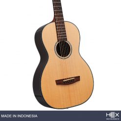 Hex Sting P350G Parlor Acoustic Guitar with Standard Gig Bag-03