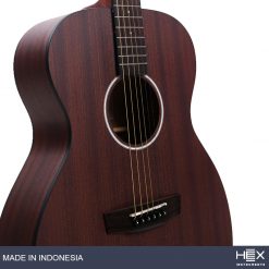 Hex Beta F72 M Acoustic Guitar with Standard Gig Bag-03