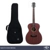 Hex Beta F72 M Acoustic Guitar with Standard Gig Bag-11