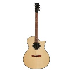 Hex Hornet GA450CE G Cutaway Acoustic-Electric Guitar with Standard Gig Bag-12