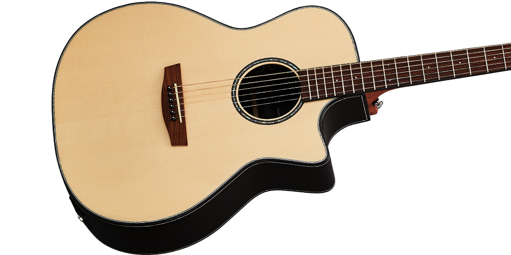 Hex Hornet GA450CE G Cutaway Acoustic-Electric Guitar with Standard Gig Bag-13