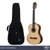 Hex Pollen C100 M Classical Guitar with Standard Gig Bag-01