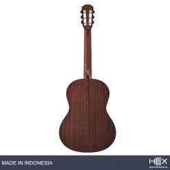 Hex Pollen C100 M Classical Guitar with Standard Gig Bag-02