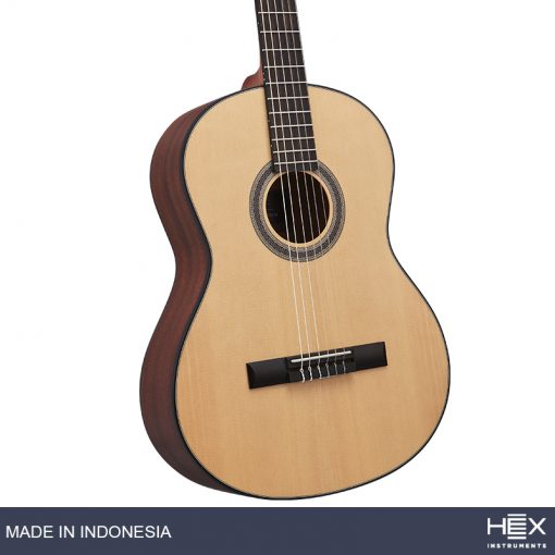 Hex Pollen C100 M Classical Guitar with Standard Gig Bag-03
