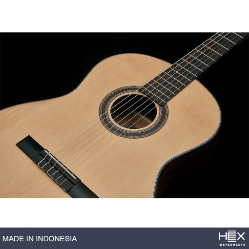Hex Pollen C100 M Classical Guitar with Standard Gig Bag-04