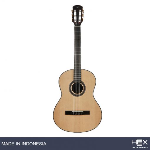 Hex Pollen C100 M Classical Guitar with Standard Gig Bag-05