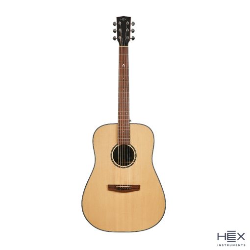 Hex Sting D350 G Cutaway Acoustic Guitar with Standard Gig Bag-02
