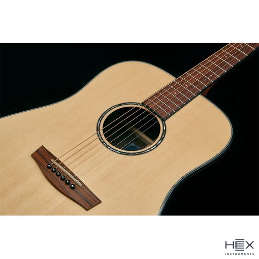 Hex Sting D350 G Cutaway Acoustic Guitar with Standard Gig Bag-06