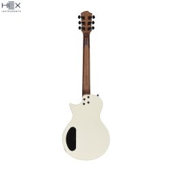 Hex H100 SIV Les Paul Electric Guitar with Deluxe Bag-02