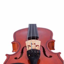 manaslu-starter-violin-14-04