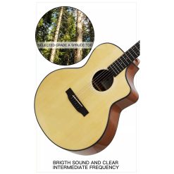 Smiger GN-20J Semi Acoustic Guitar with Bag-06
