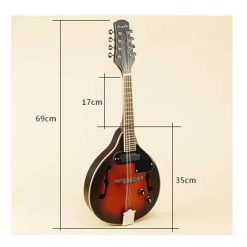 Songlin 8-string Acoustic-Electric Mandolin with Bag, Sunset -02