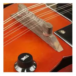 Songlin 8-string Acoustic-Electric Mandolin with Bag, Sunset -04
