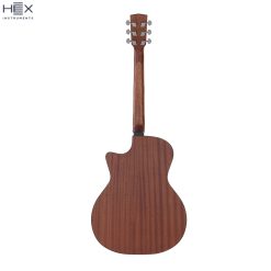 Hex Beta GA70C M Acoustic Guitar with Bag-04