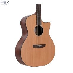 Hex Beta GA70C M Acoustic Guitar with Bag-05