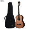 Hex Pollen C350 G Classical Guitar with Standard Gig Bag-01
