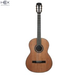 Hex Pollen C350 G Classical Guitar with Standard Gig Bag-02
