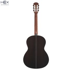 Hex Pollen C350 G Classical Guitar with Standard Gig Bag-03