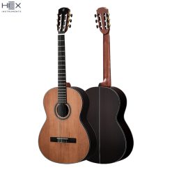 Hex Pollen C350 G Classical Guitar with Standard Gig Bag-04