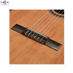 Hex Pollen C350 G Classical Guitar with Standard Gig Bag-05