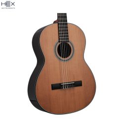 Hex Pollen C350 G Classical Guitar with Standard Gig Bag-06