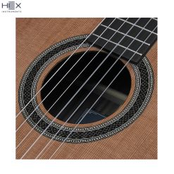Hex Pollen C350 G Classical Guitar with Standard Gig Bag-08