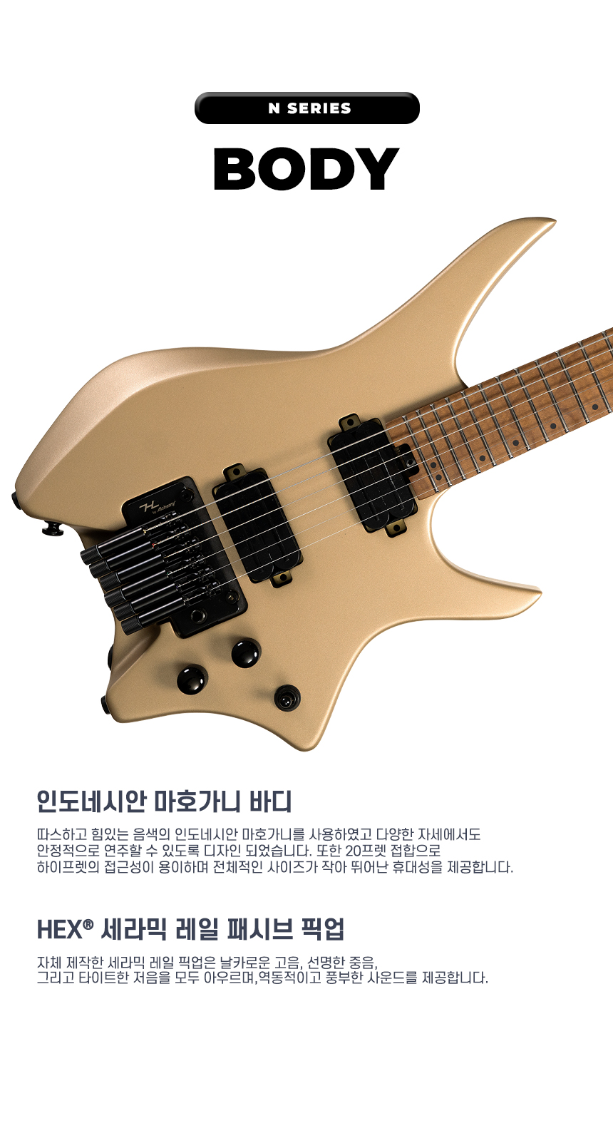 Hex-N500P_S_SS_03