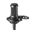 Audio Technica AT2035 Cardioid Condenser Microphone-04