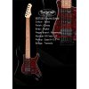 Sqoe SEST230 Electric Guitar, Black-02