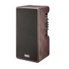 Laney A SERIES A-DUO Acoustic Instrument Combo Amplifier - 120W-01