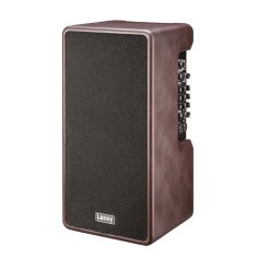 Laney A SERIES A-DUO Acoustic Instrument Combo Amplifier - 120W-01