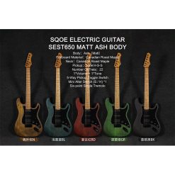 Sqoe SEST650 Electric Guitar-01