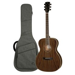 Hex Vespera VF320E Acoustic-Electric Guitar with Premium Gig Bag-01
