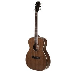 Hex Vespera VF320E Acoustic-Electric Guitar with Premium Gig Bag-04