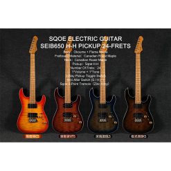 Sqoe SEIB650 Electric Guitar-01