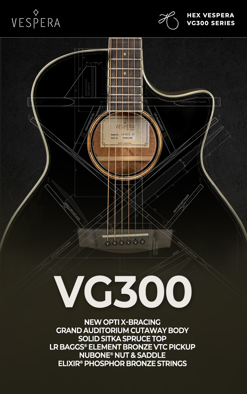 VG300_01